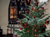 クリスマスツリー