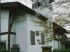 「教会外観正面　春」　撮影者　芳賀清司